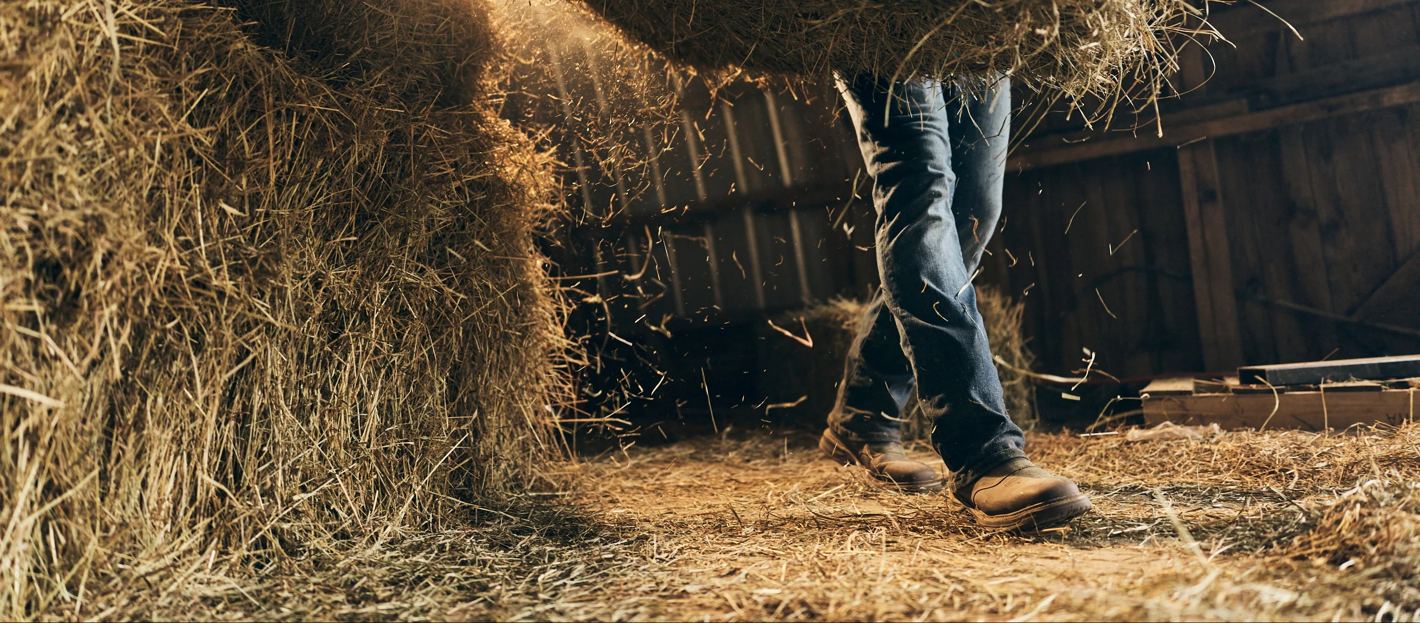 Built for the Bold Path